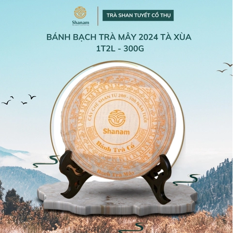 BANH-BACH-TRA-MAY-2024-TA-XUA-1T-2L-300G-BTR
